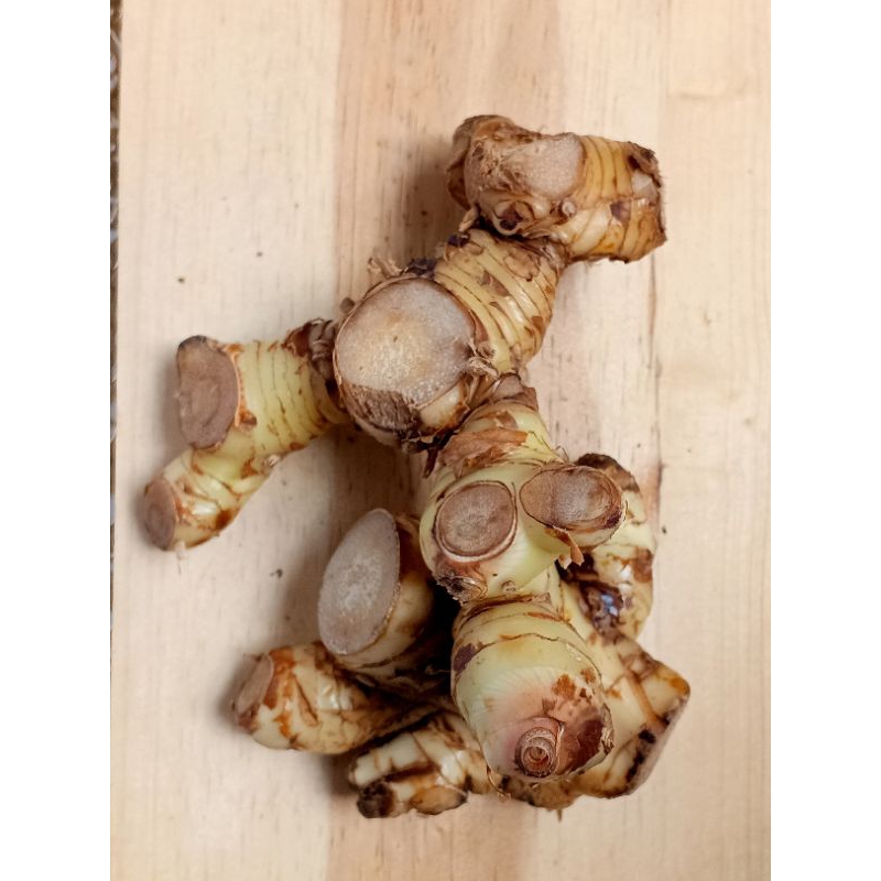 

Lengkuas berkualitas 250 gr