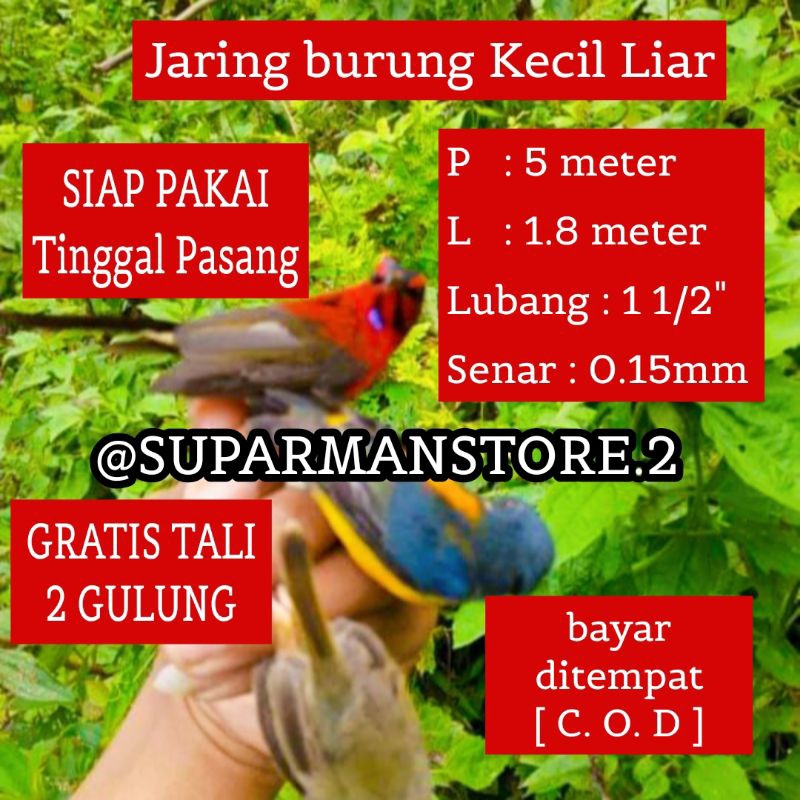JARING BURUNG KECIL 5 METER JARING BURUNG MANTENAN SIAP PAKAI JARING BURUNG TERMURAH JARING BURUNG T