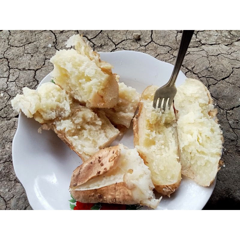 

Ubi gembili / mbili / ubi /mbili fresh mentah 1 kg