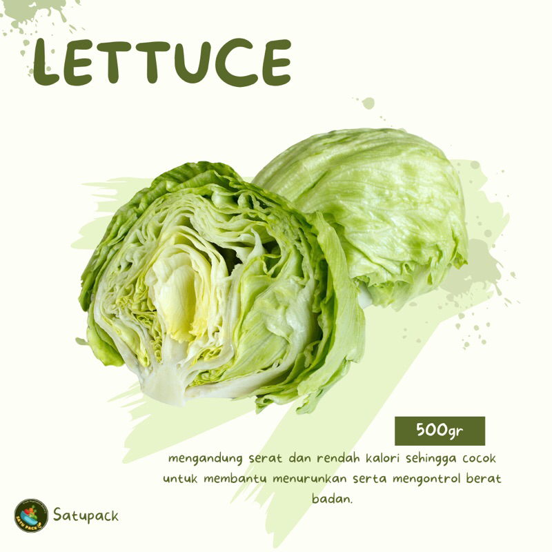

LETTUCE HEAD / LETTUCE - 500gr