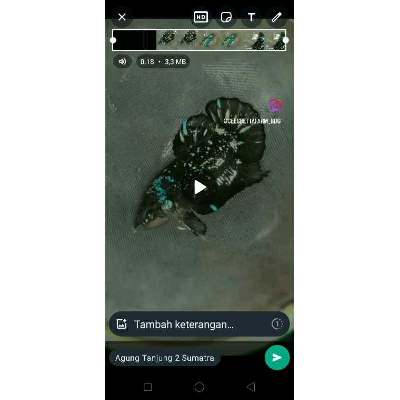 female hm avatar nebula