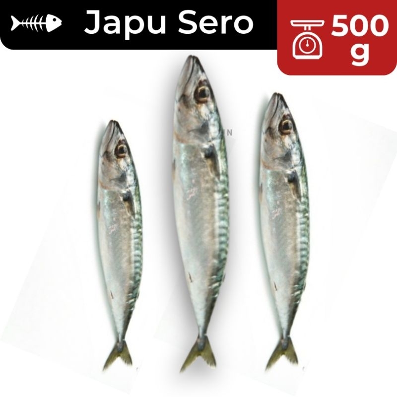 

500g Ikan Asin Japu Sero SUPER / Ikan Asin Japu / Ikan Asin Murah / Ikan Asin Enak