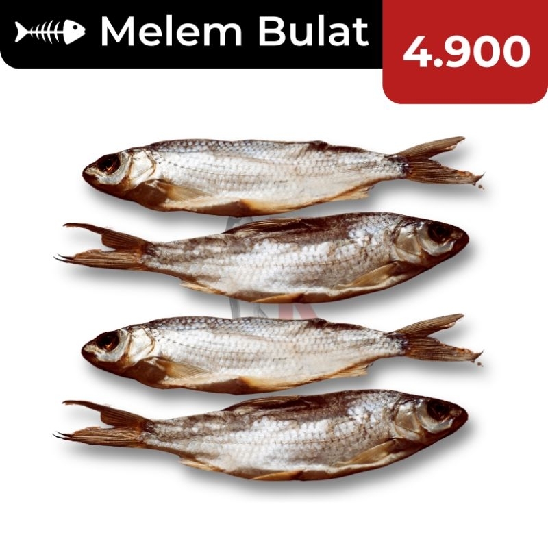 

ECERAN!!! 5k Ikan Asin Melem Bulat / HO Bulat SUPER / Ikan Asin Melem / Ikan Asin Murah / Ikan Asin Enak