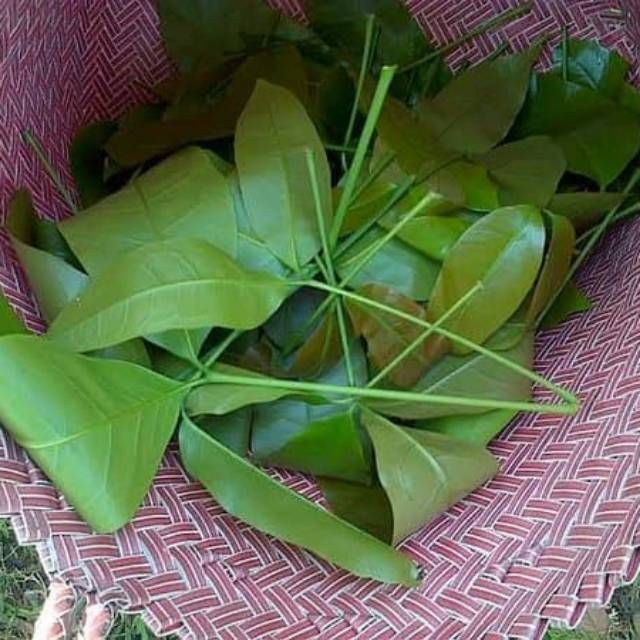 

Daun Melinjo / Daun So 50gr