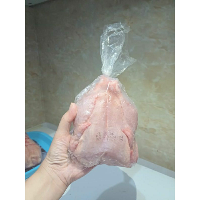 

Ayam frozen segar