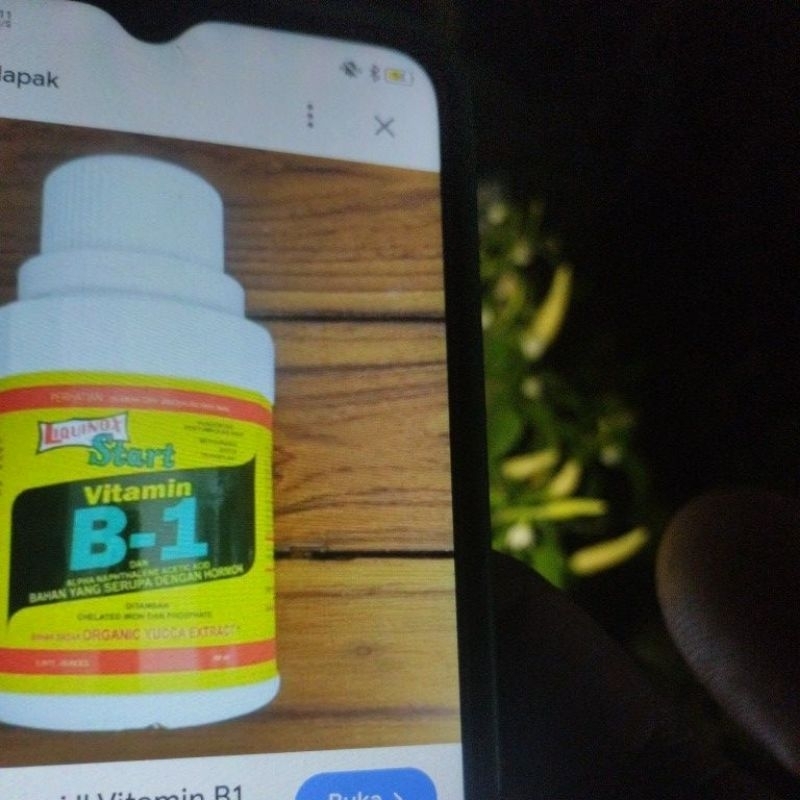 ready obatt B1 untuk tanaman