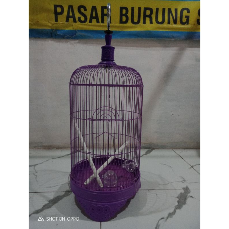 sangkar bulat besi kecil geragon buat burung kecil seperti plci koni sogon dll pengiriman keseruruh 