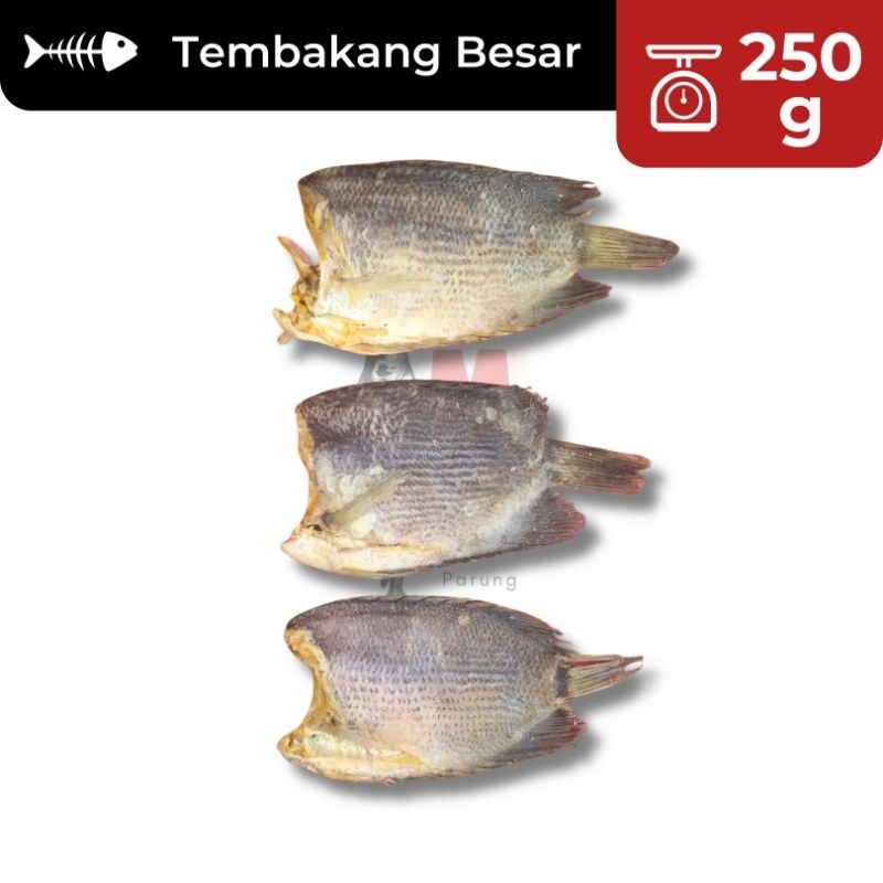 

250g Tembakang Besar SUPER / Ikan Asin Tembakang / Ikan Asin Murah / Ikan Asin Enak