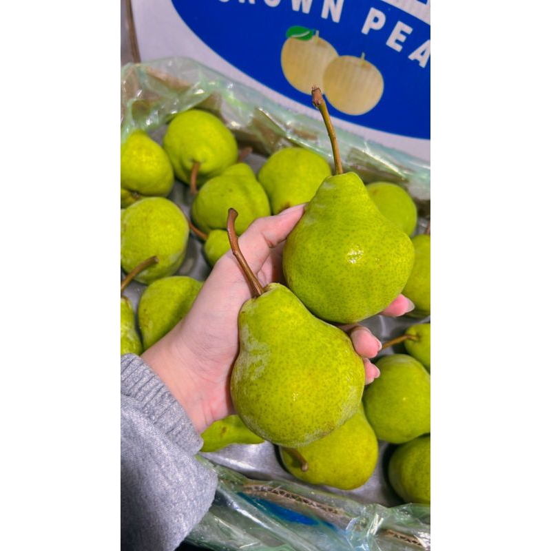 

PIR PACHKAM FRESH 1KG