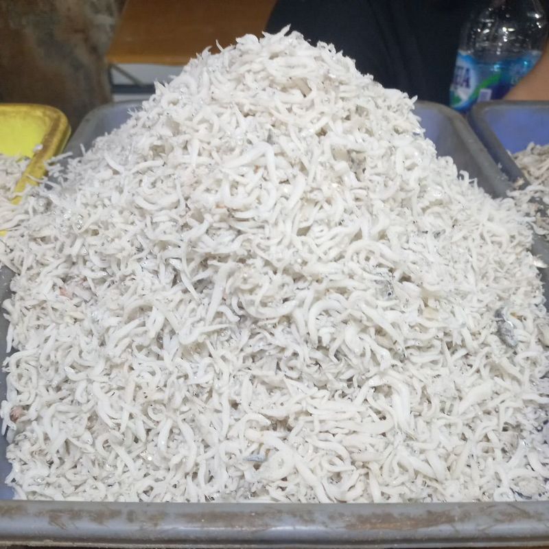 

Teri Nasi
