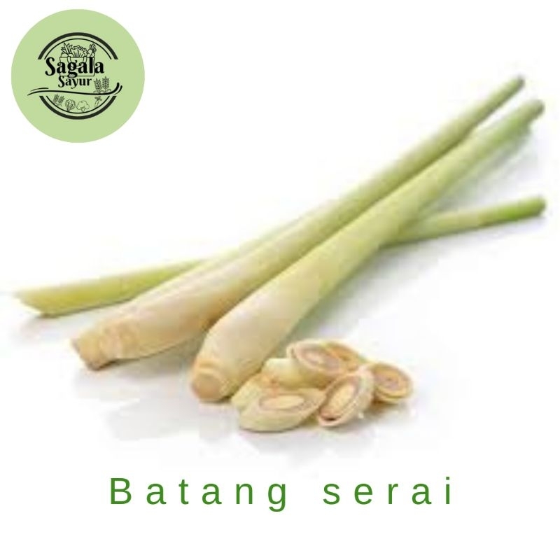 

BATANG SERAI / pewangi alami masakan / pelengkap bumbu masakan