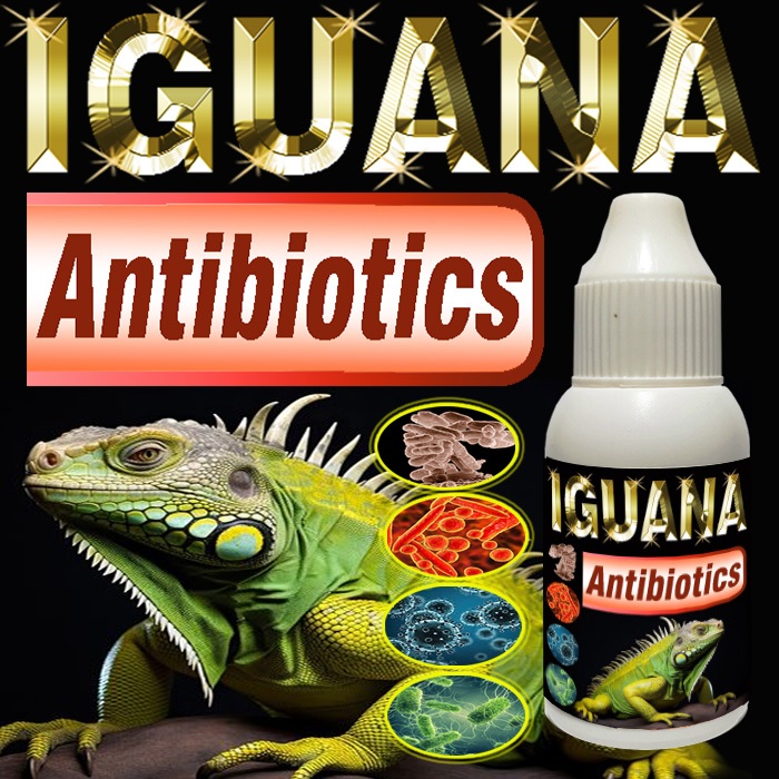 IGUANA ANTIBIOTIK VITAMIN REPTILE SUPLEMEN OBAT PENYAKIT PERNAPASAN PILEK PNEUMONIA PADA HEWAN IGUAN