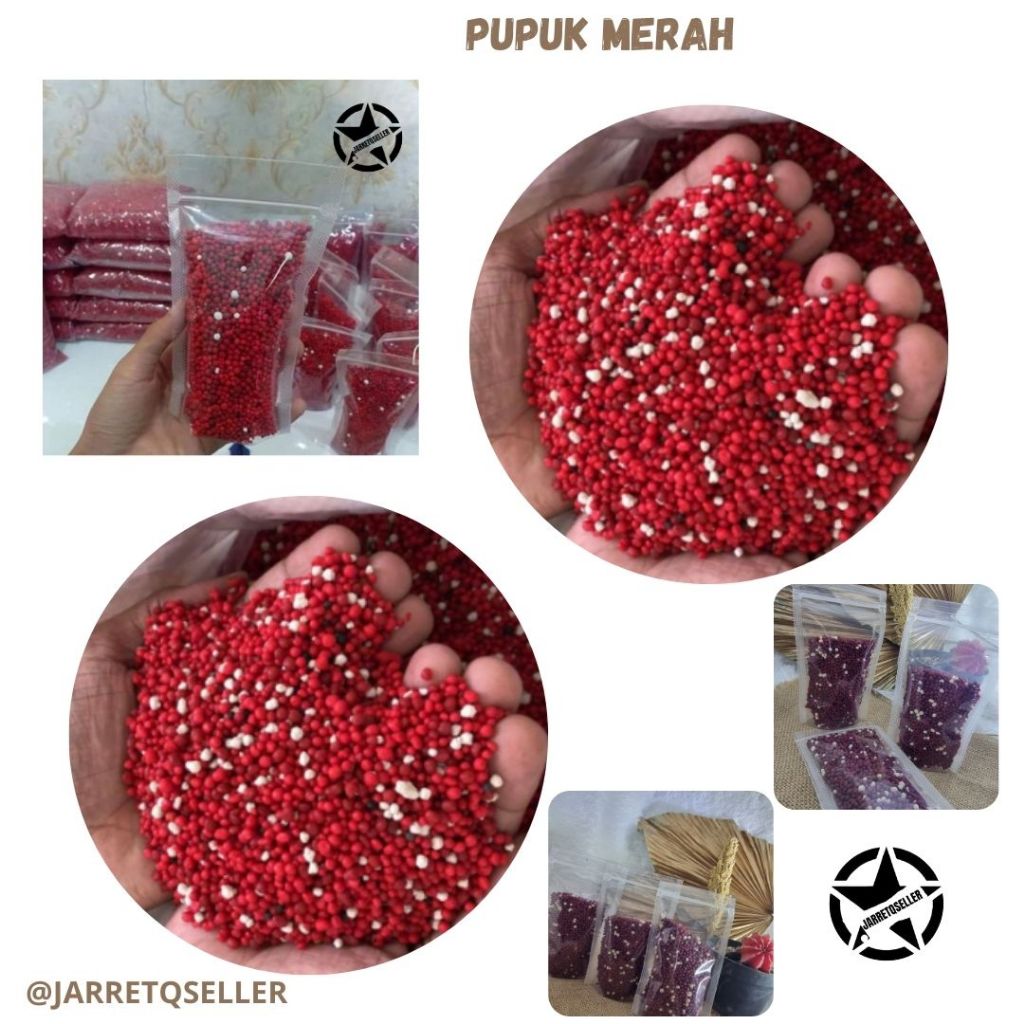 🆕 Pupuk Osmocote Merah || Pupuk Merah Osmocote Slow Release Aglonema || Pupuk Slow Release Osmocote 