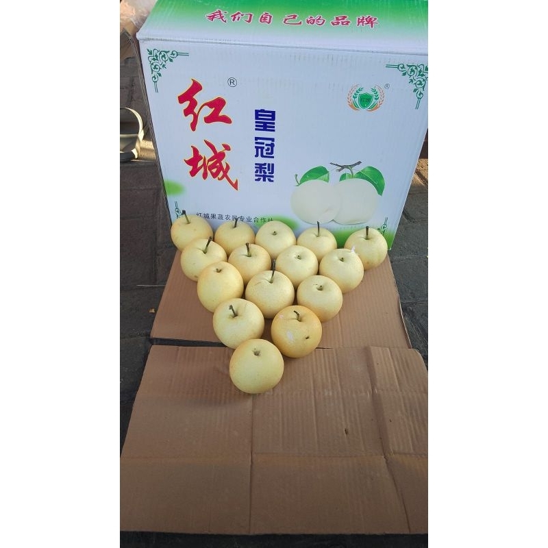 

PEAR CENTURY RRC PEER CENTYRY CHINA 500GR 1KG