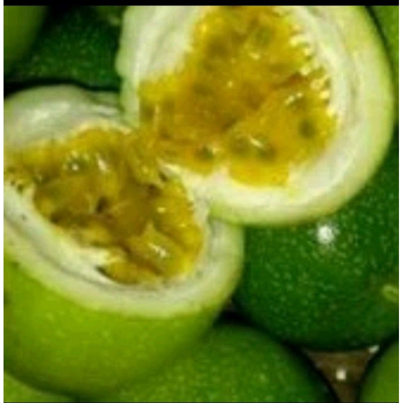 

Buah markisa segar 1000gram