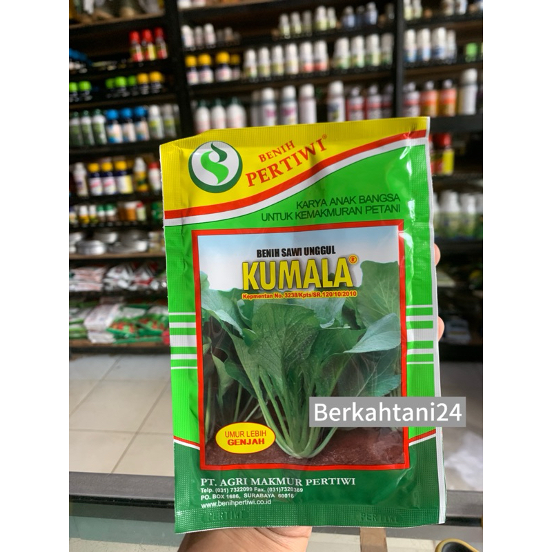 Benih Sawi Kumala