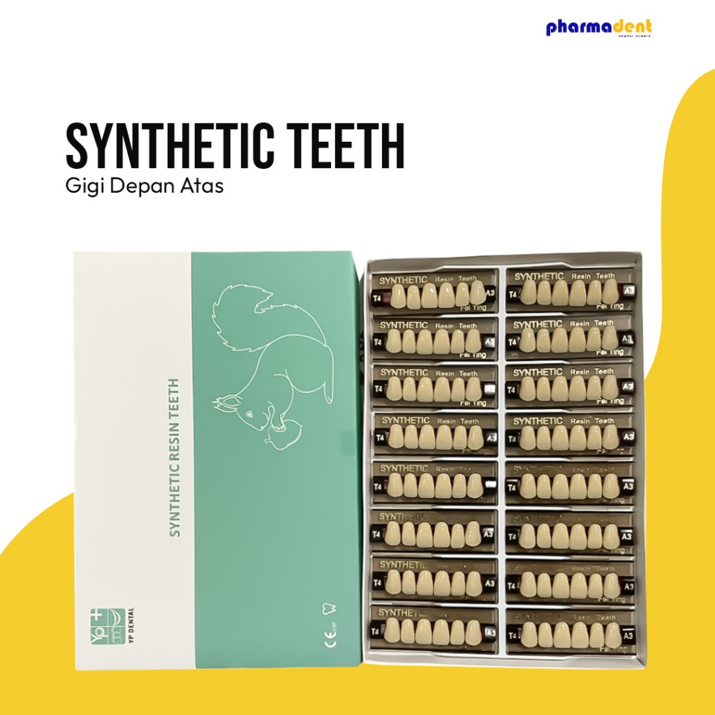 Pharmadent - Gigi Sistesis/Synthetic Teeth YP Dental Depan Atas 1 Box