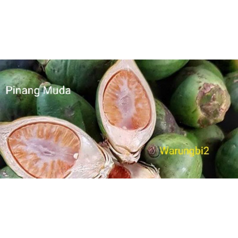 

Pinang Muda Press baru petik