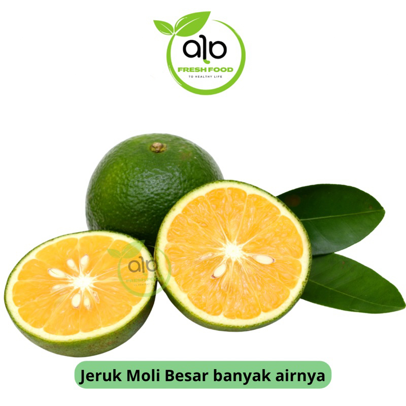 

Buah Jeruk Moli untuk jeruk peras banyak airnya - ALO Fresh Food