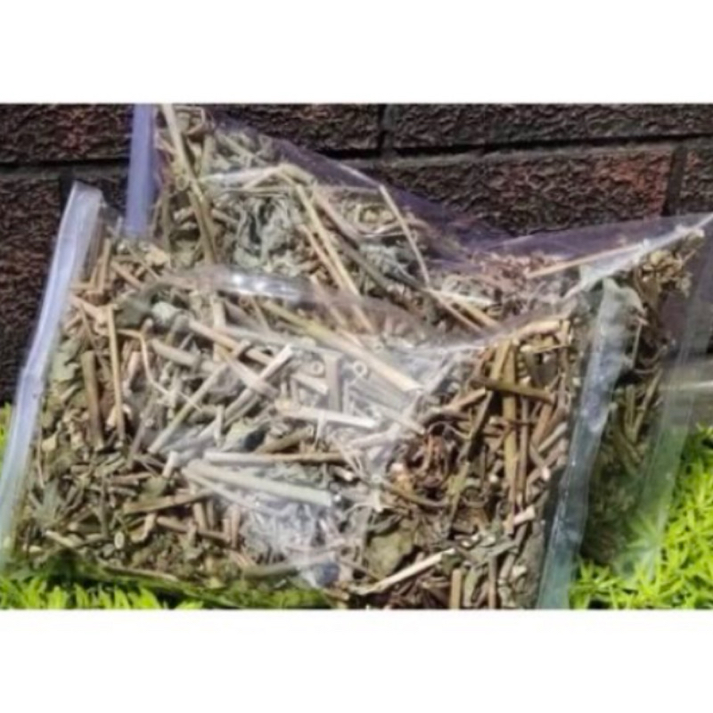 

Daun patikmas daun katemas kering organik-az