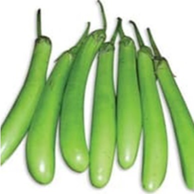 

Terong Panjang Hijau Segar - Sayur Segar Instan Malang