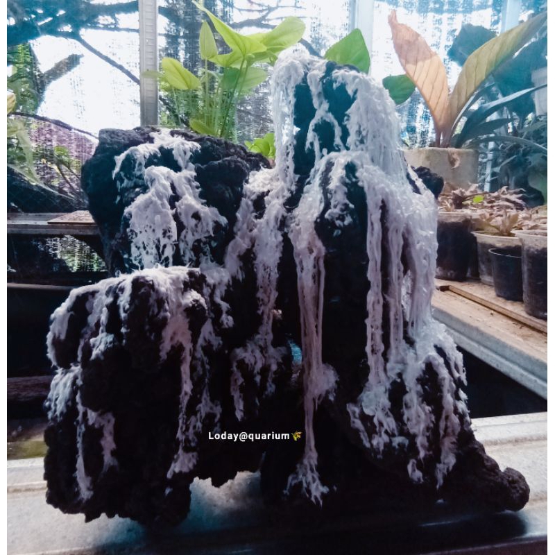 HIASAN AKUARIUM TEBING AIR TERJUN AQUASCAPE/PALUDARIUM