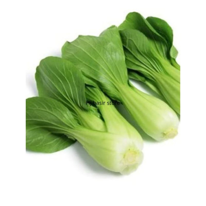 

Aneka sayur fresh pakcoy/sawi putih sayur sehat