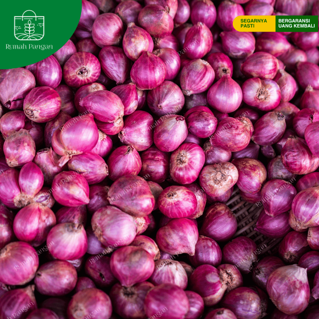 

Bawang Merah Super