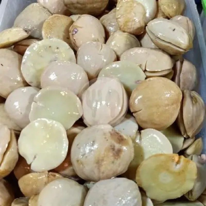

jengkol rebus 250grm