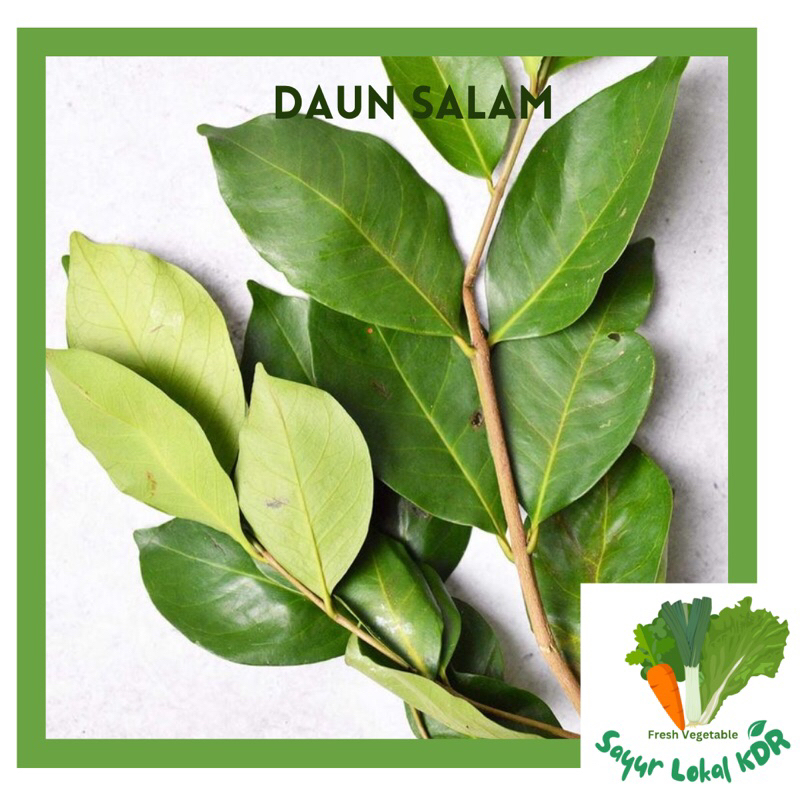 

• DAUN SALAM PENYEDAP MAKANAN 1ikat 250GR