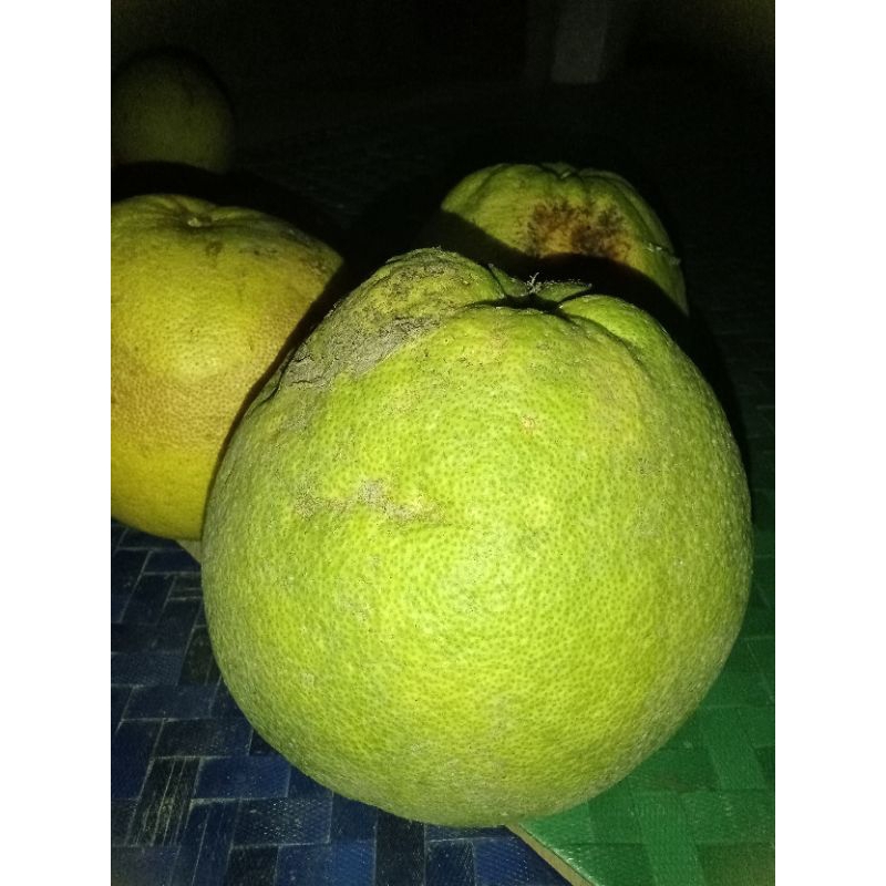 

JERUK BALI