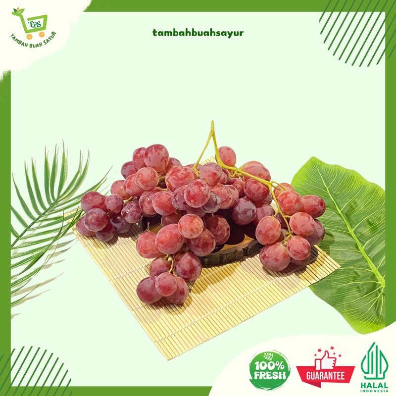 

BUAH ANGGUR MERAH | BUAH ANGGUR (KHUSUS SAMEDAY DAN INSTAN)