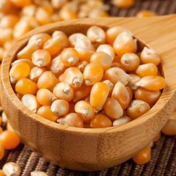 

KODE PRODUK P6BTK5969 JAGUNG POPCORN PREMIUM 1KG Jagong Mekar Butterfly