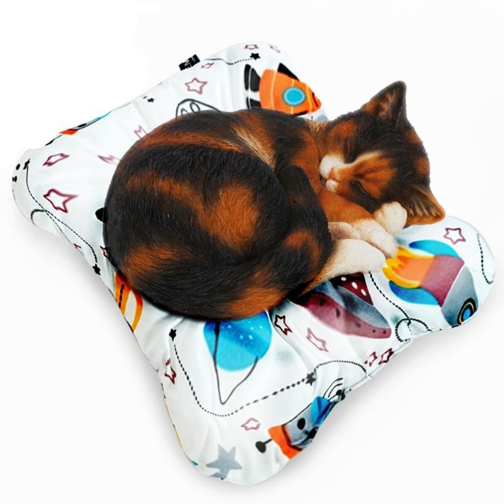 Terdepan KASUR KUCINGBANTAL KUCING