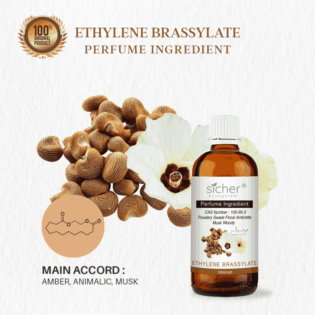 Sicher Natural Isolate Oil (Perfume Ingredient / RAW Material) Ethylene Brassylate 100ml