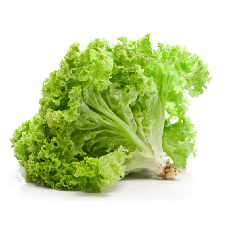 Sayur selada air per bonggol
