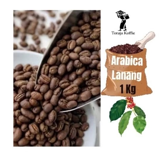

KOPI ARABICA TORAJA LANANG PEABERY 1KG KOPI ASLI TORAJA