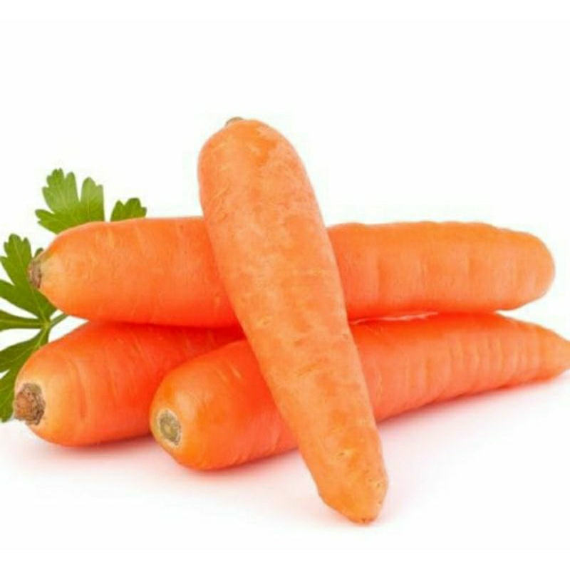 

wortel brastagi segar