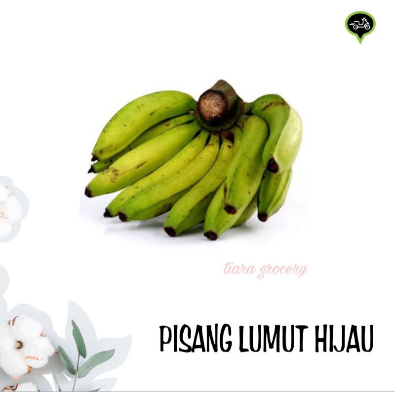 

Pisang lumut hijau