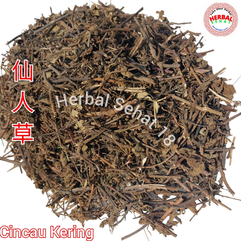 

psDijual Daun Cincau Hitam Kering 1 Kg 1 Gram Lengkong Leng Kong Cingcau Xian Ren Cao R68