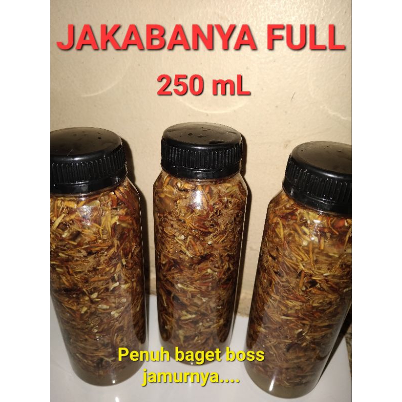 Biang JAKABA Super