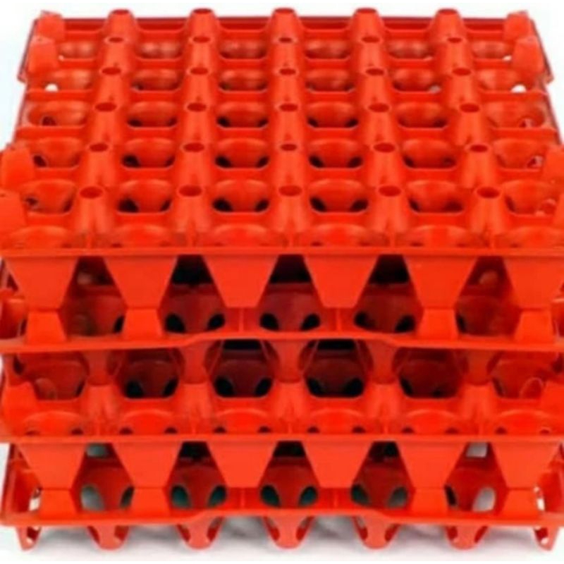 Egg tray