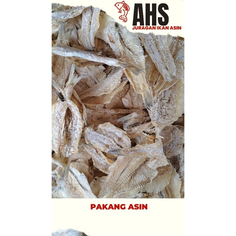 

PAKANG ASIN KUALITAS BAGUS| IKAN PAKANG ASIN PROMO