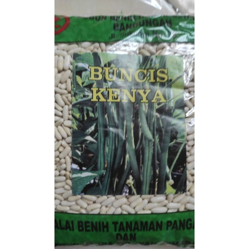 [232] benih buncis kenya baby buncis / baby bean seeds ☼