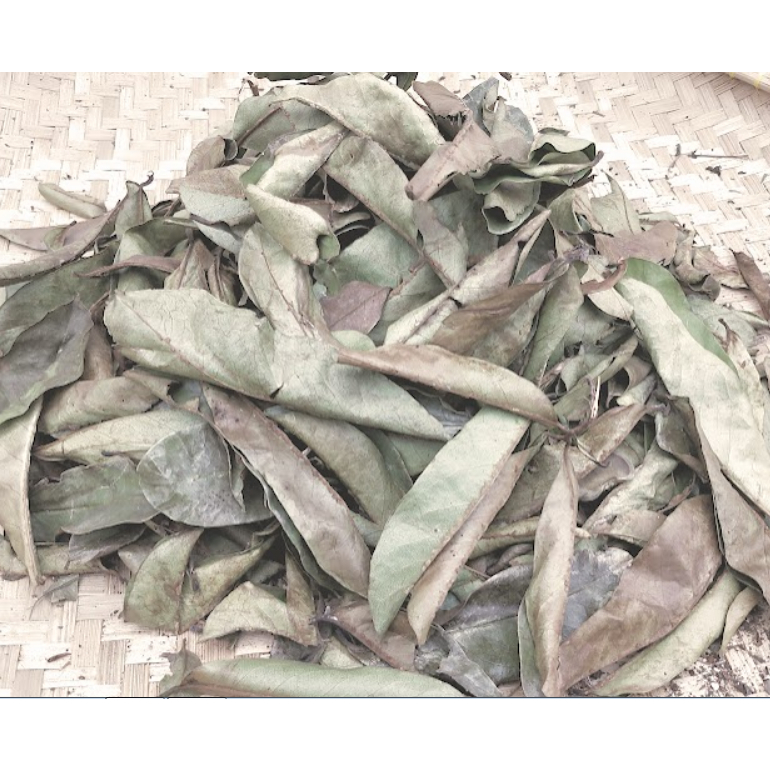 

Daun Sirsak Kering Alami