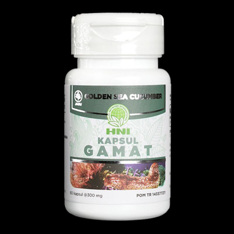 Ekstrak Gamat (Teripang Emas) HNI
