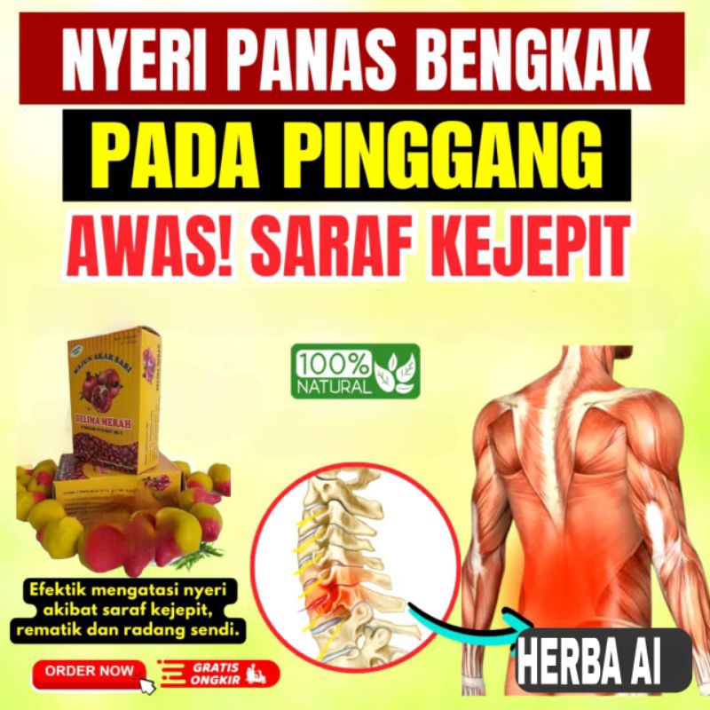 Obat Sakit Pinggang Herbal Ampuh Majun Akar Sari Delima Merah