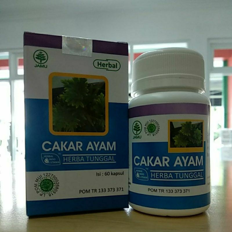 HIU CAKAR AYAM 60kapsul Membantu meredakan batuk