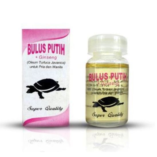 Minyak Bulus Putih / Minyak Bulus