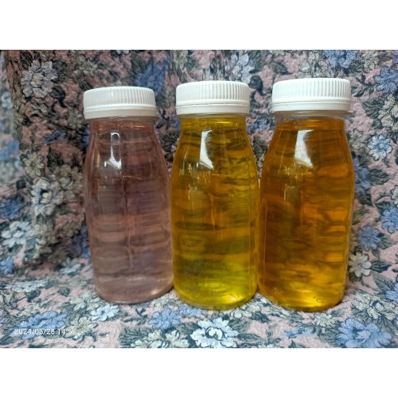 paket hemat nutrisi toge montok